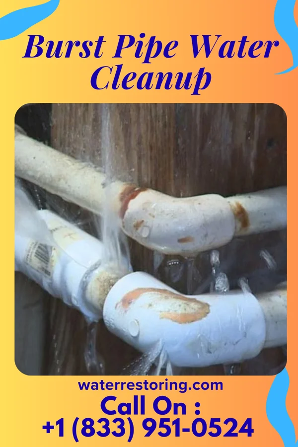 Burst Pipe Water Cleanup in Monongah, WV