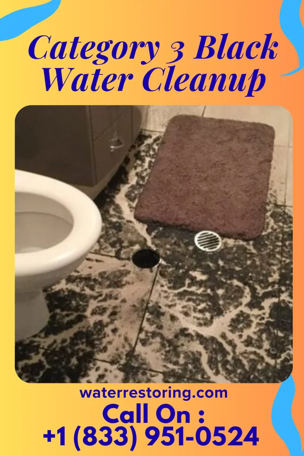 Category 3 Black Water Cleanup in Monongah, WV