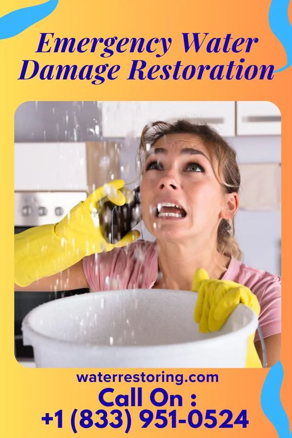 Emergency Water Damage Restoration in Monongah, WV