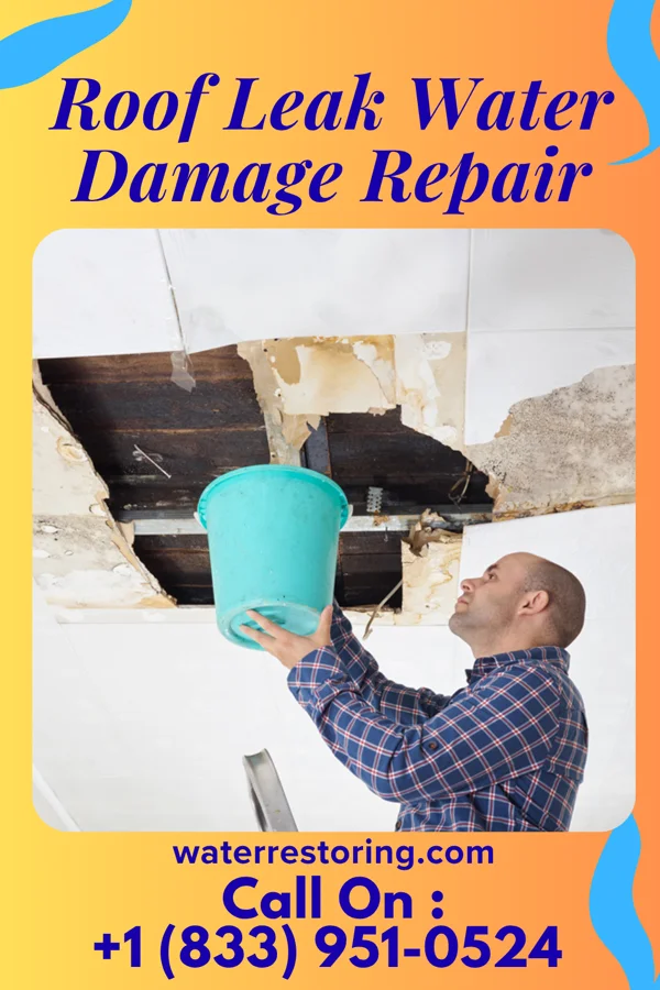 Roof Leak Water Damage Repair in Monongah, WV