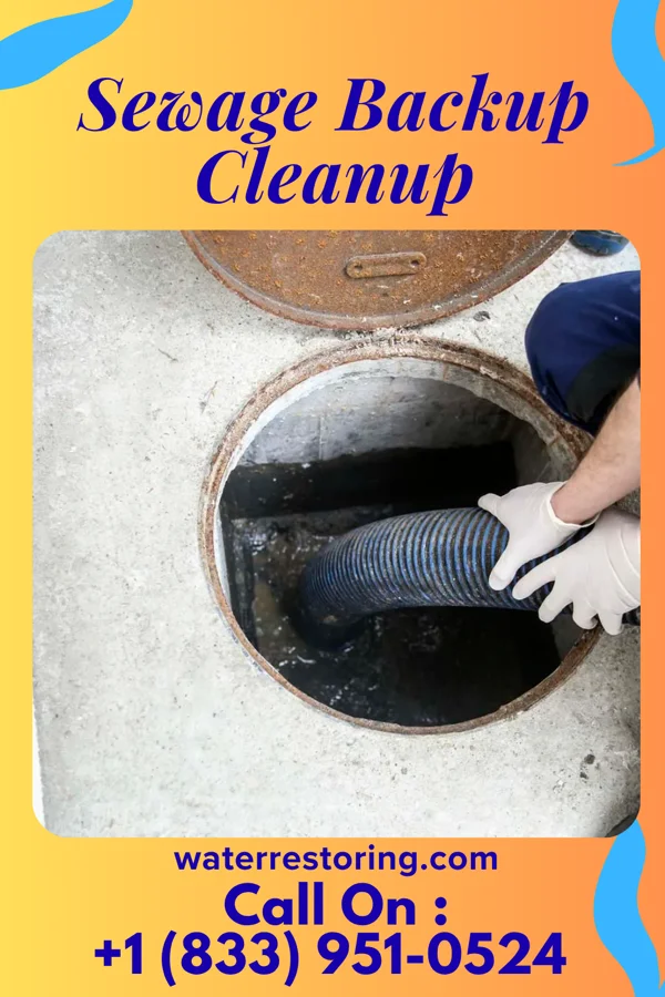 Sewage Backup Cleanup in Monongah, WV