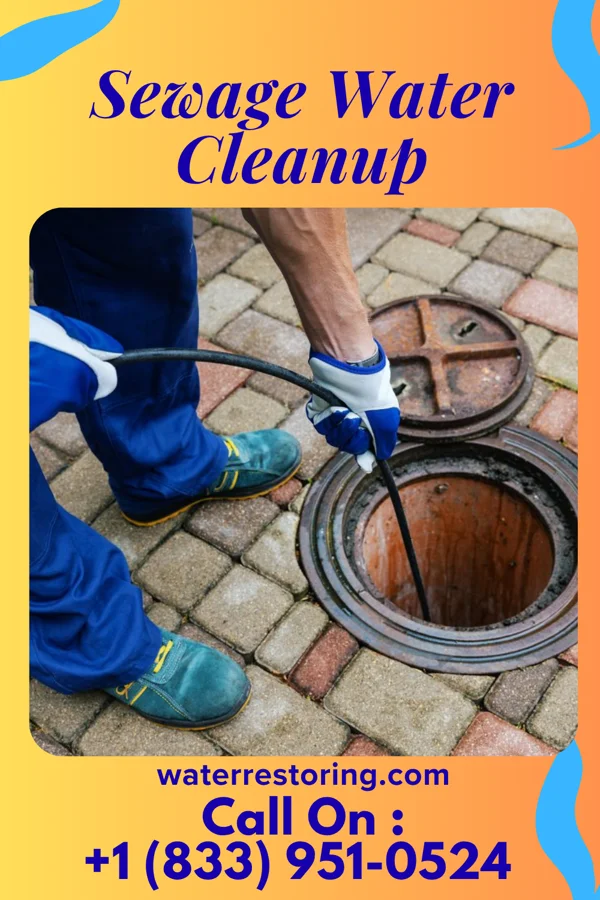 Sewage Water Cleanup in Monongah, WV